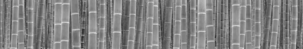 评2025丽水摄影节：在纷乱的图像年代寻找证明自身的价值-第13张图片-