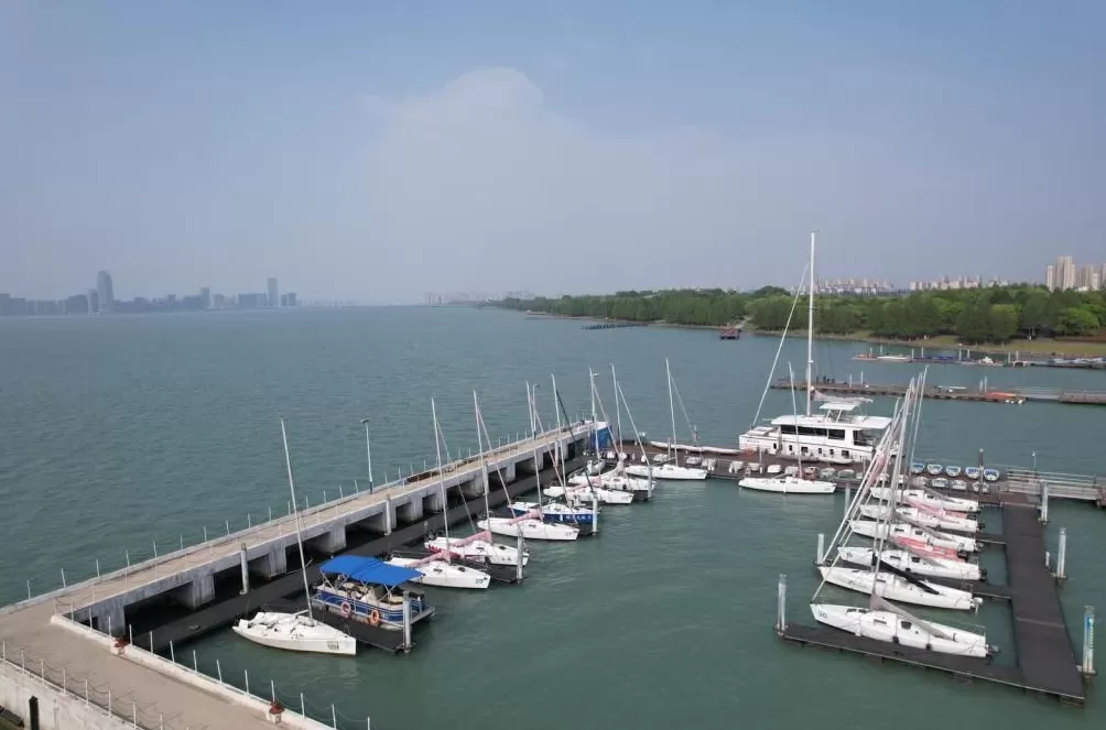 绿色为底：城市IP的可持续发展密码-第5张图片-