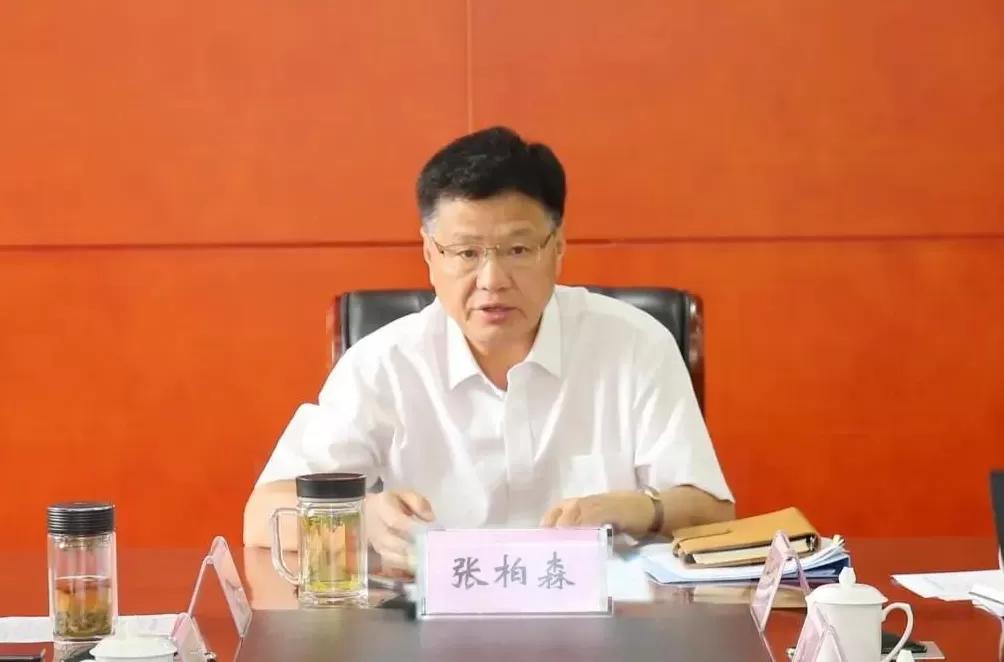 中央巡视组进驻后被查的张柏森被决定逮捕-第1张图片-