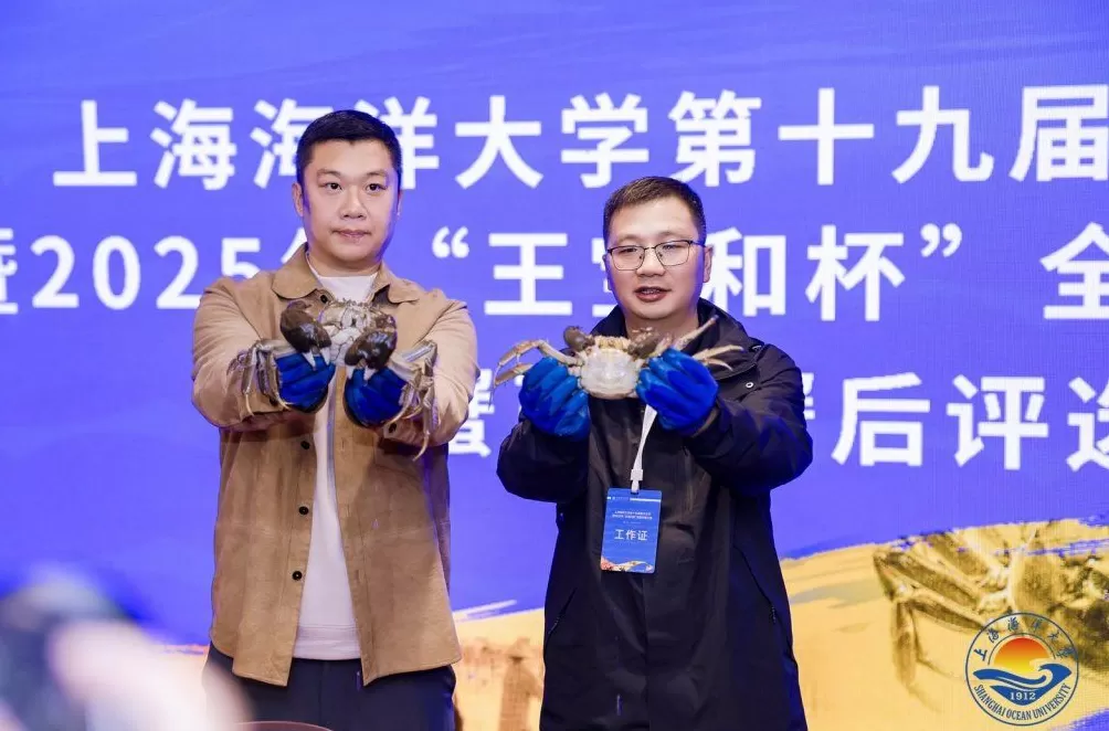 全国河蟹“奥斯卡奖”出炉：蟹王622.1克，蟹后451.2克-第1张图片-