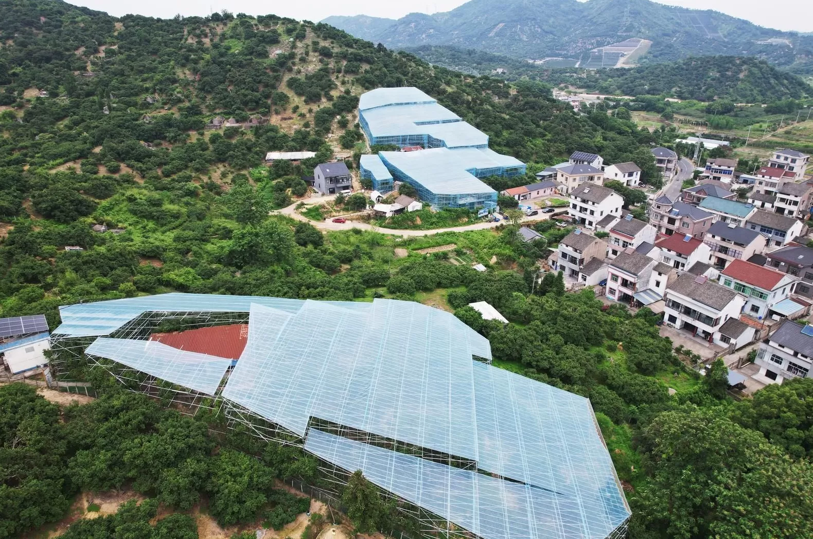 流量变增量:小城 IP 背后的产业跃升密码-第1张图片- 流量变增量:小城 IP 背后的产业跃升密码-第1张图片-