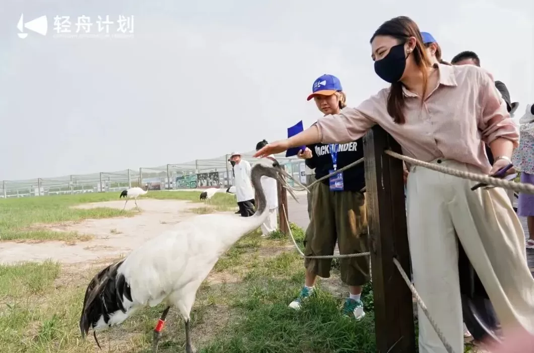 构建“NICE盐城·短剧之城”，江苏盐城即将亮相本届金鸡百花电影节-第6张图片-