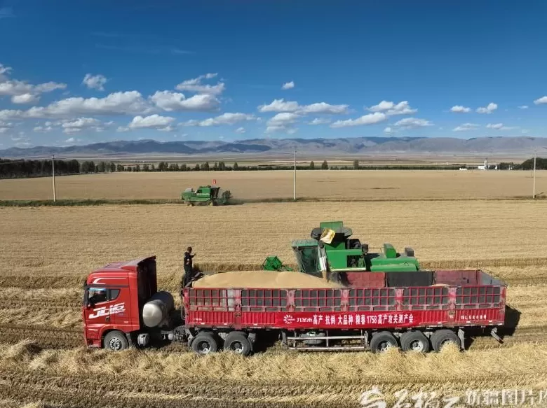 “慧”种田重塑新疆农业生产方式-第3张图片-