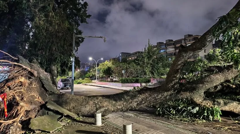 直通部委｜10月自然灾害致735.85万人次受灾 中央安全生产考核巡查正式启动-第1张图片-