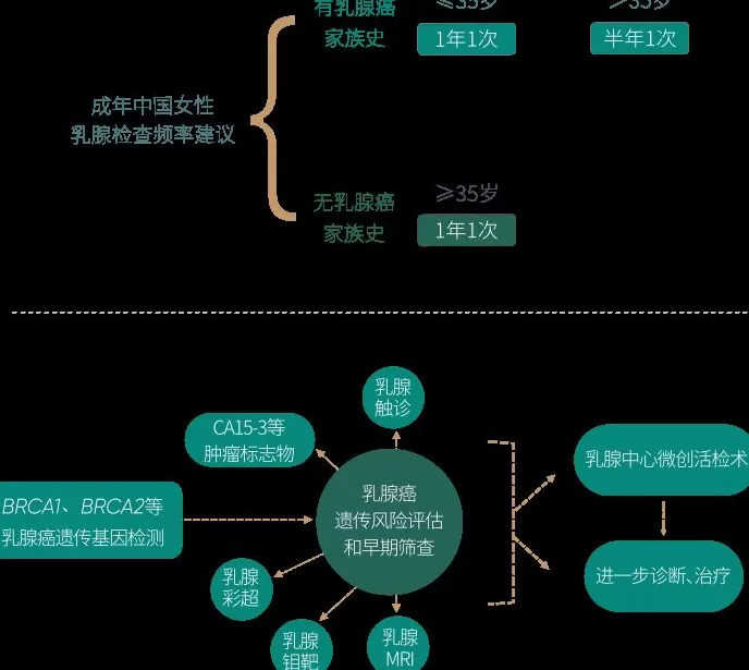 爱康集团携手《财富》中国500强峰会，重磅发布《2025版银行及保险高净值客户健康绿皮书》-第10张图片-