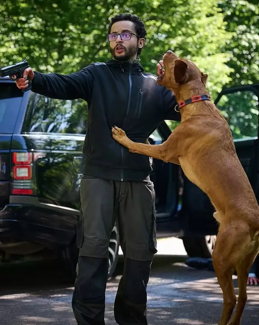 今年最佳海外剧集，为何是它-第4张图片-