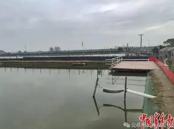 一群法官，直播“吃螃蟹”-第3张图片-