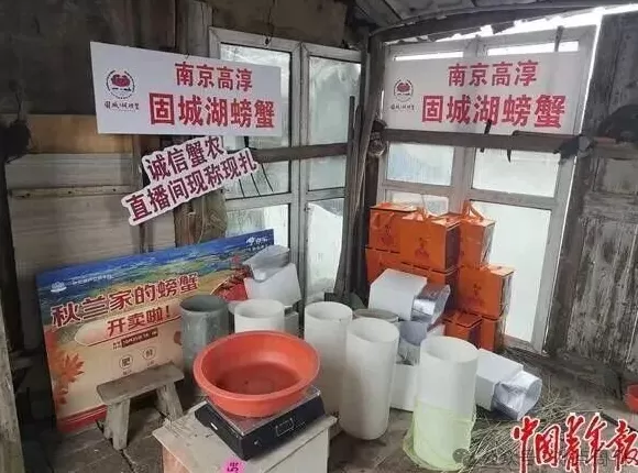 一群法官，直播“吃螃蟹”-第4张图片-