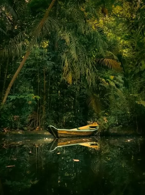 巴西临时迁都，当地居民：它是巴西最贫穷、最被遗忘的地区，我们终于被看见了-第3张图片-