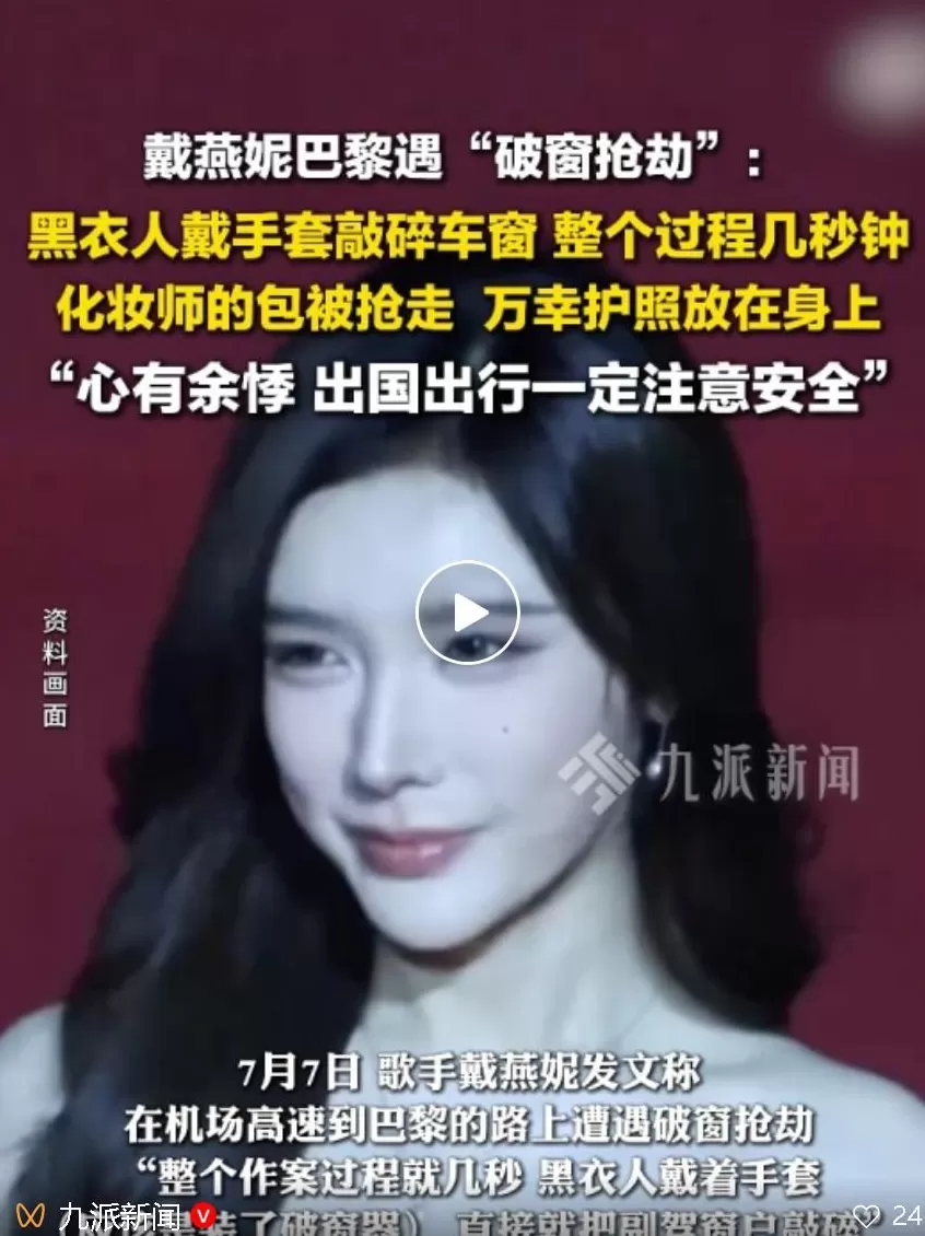 大张伟透露曾在荷兰遭砸车盗窃：调监控的话要花4.1万元-第4张图片-