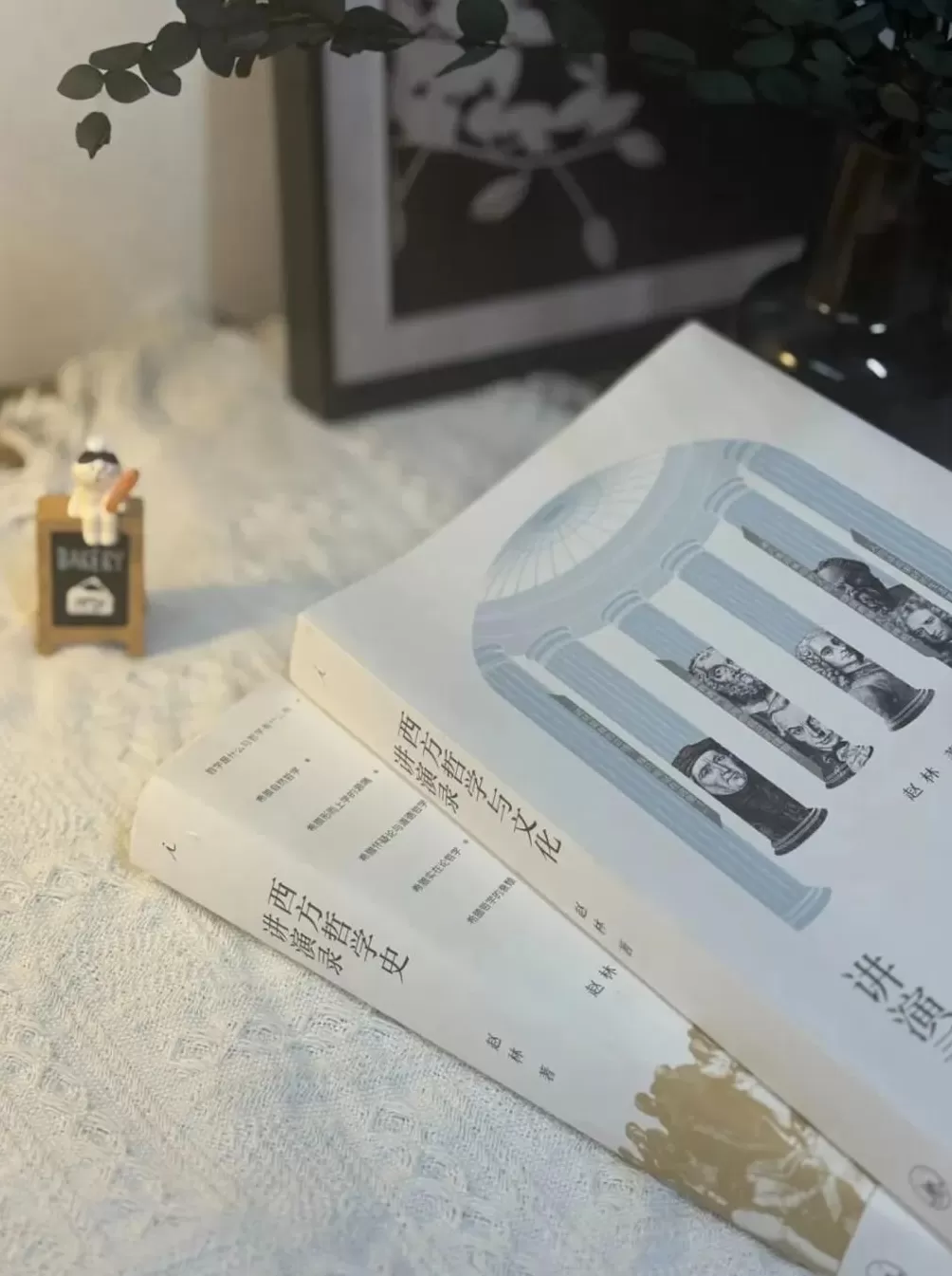 赵林：这个时代可能不太配谈哲学了-第2张图片-