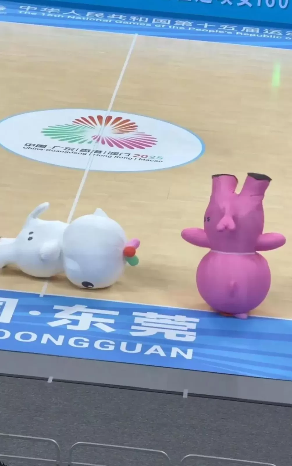 2025最萌顶流彻底出圈，广东人骄傲坏了-第5张图片-