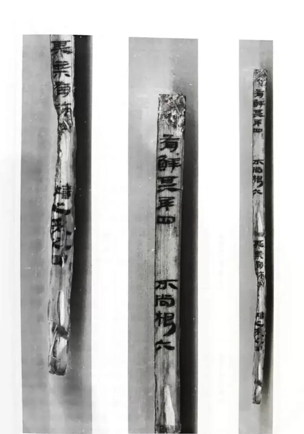 深度解读｜十余年修复，秦汉全本《诗经》如何重见天日-第2张图片-