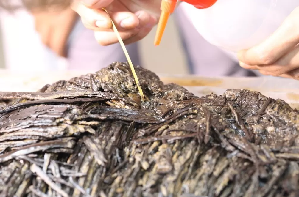 深度解读｜十余年修复，秦汉全本《诗经》如何重见天日-第4张图片-