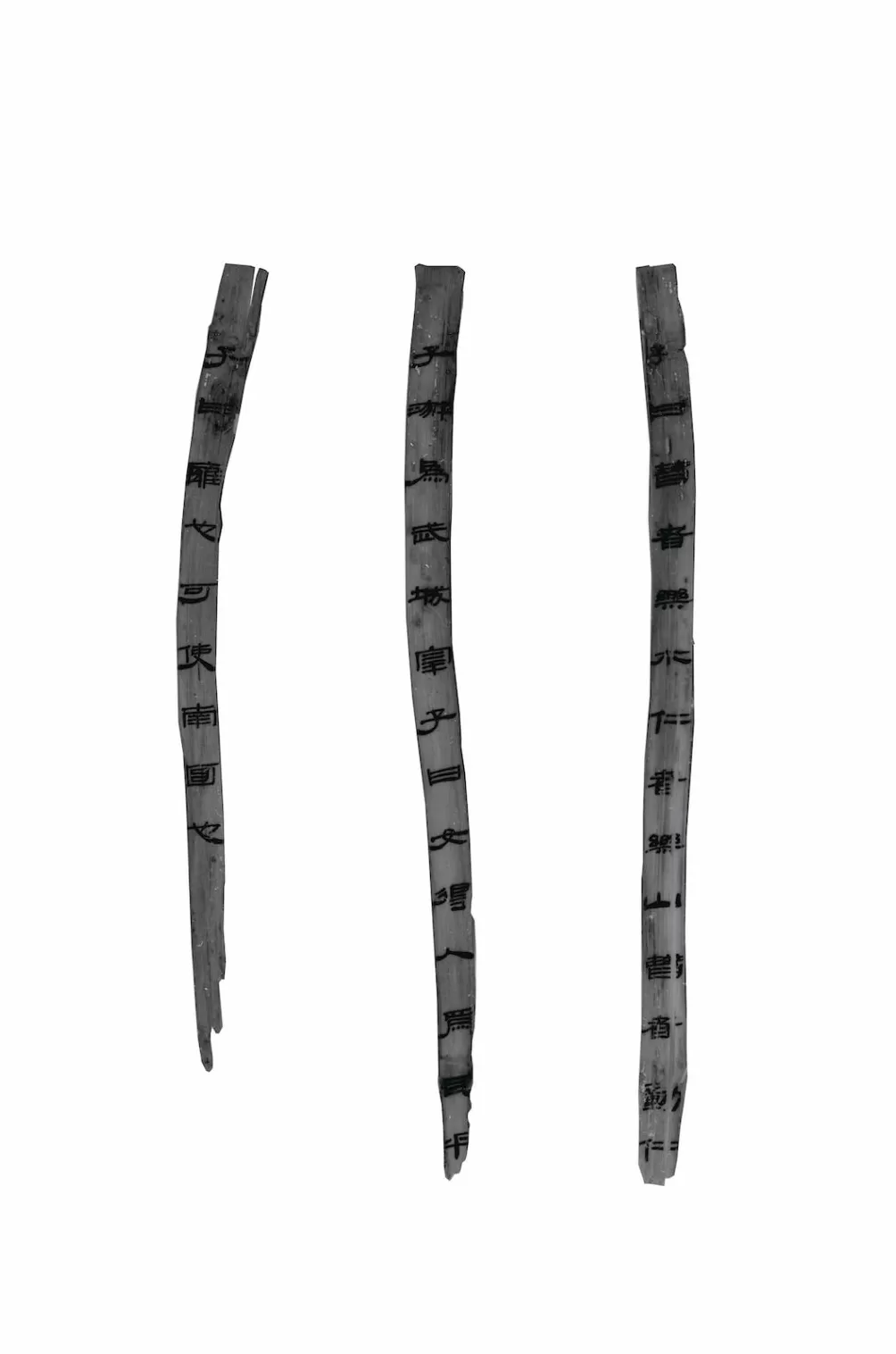 深度解读｜十余年修复，秦汉全本《诗经》如何重见天日-第3张图片-