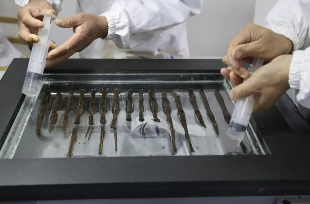 深度解读｜十余年修复，秦汉全本《诗经》如何重见天日-第7张图片-