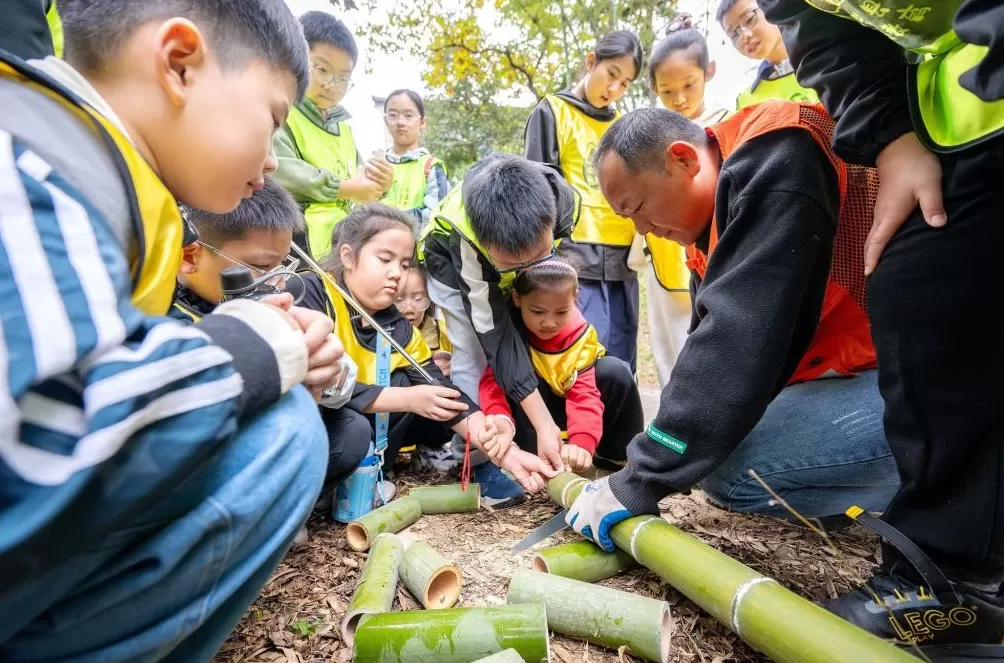 城事｜秋假首日，各地小朋友都在做什么？-第17张图片-