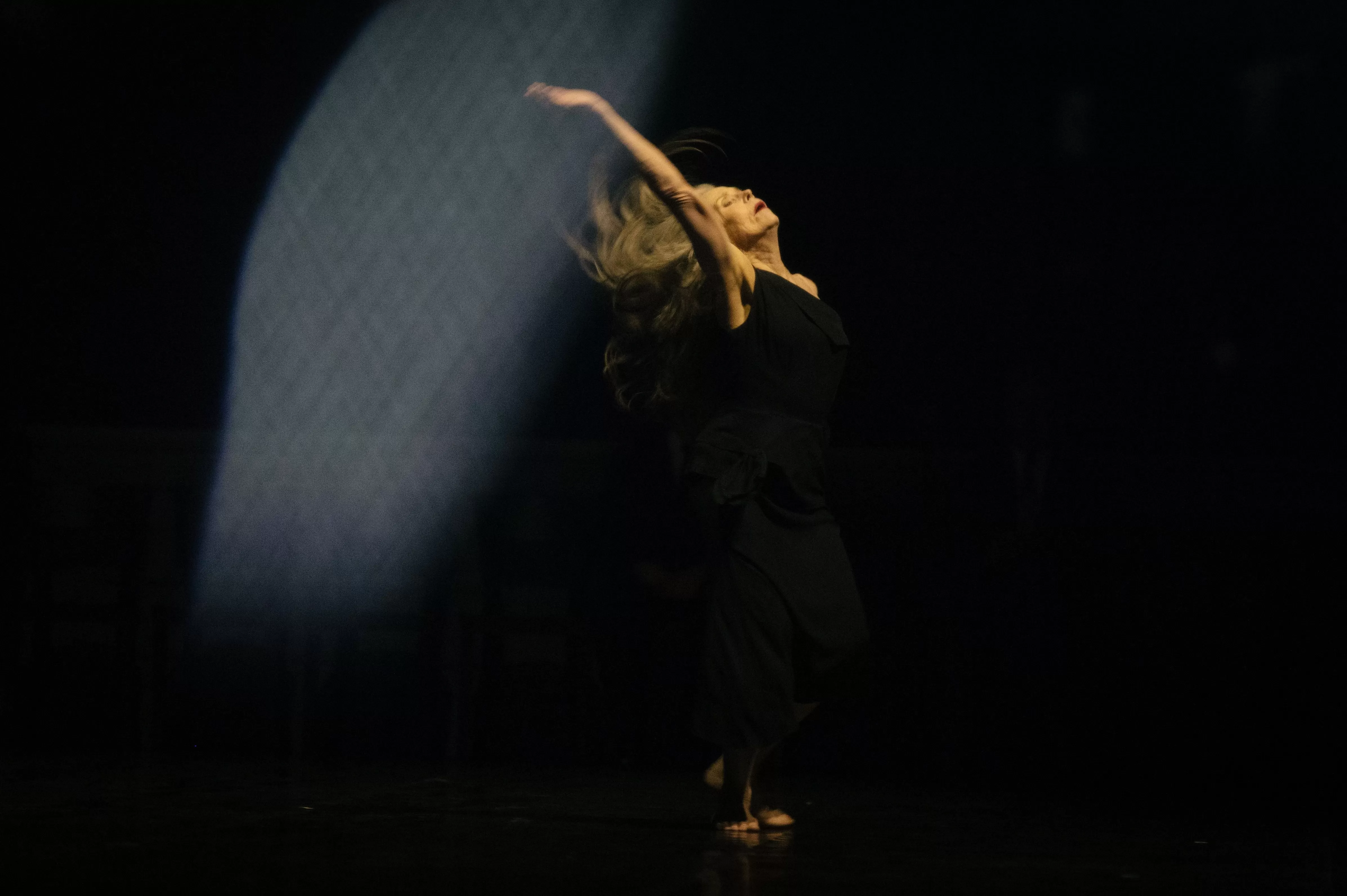 在2025年寻找皮娜·鲍什-第6张图片-