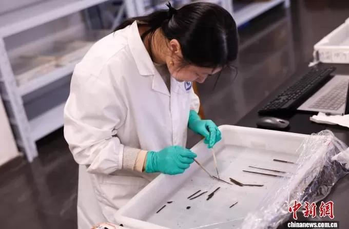 作家李敬泽：海昏侯墓《诗经》值得期待，但一切要等整理完成-第2张图片-