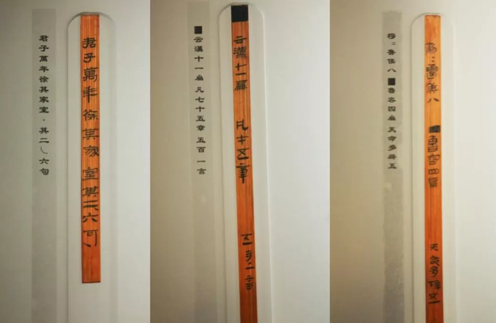 作家李敬泽：海昏侯墓《诗经》值得期待，但一切要等整理完成-第1张图片-