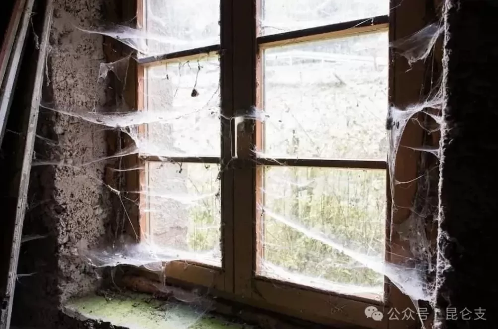 美国的“开门法案”里还藏了一条,一人50万美元-第1张图片- 美国的“开门法案”里还藏了一条,一人50万美元-第1张图片-