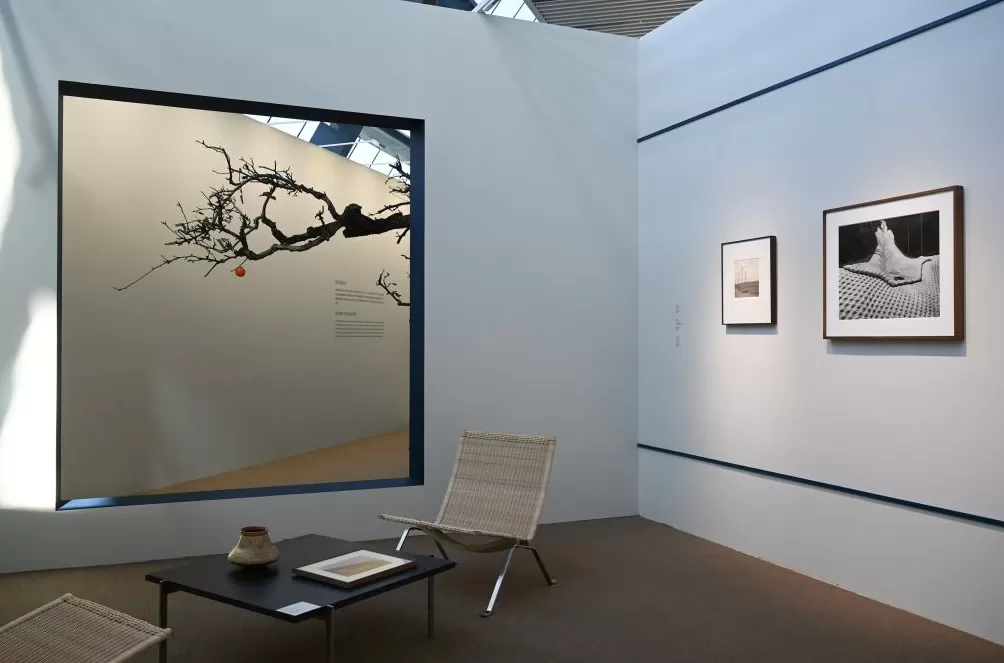 2025西岸艺博会在沪开幕，当代艺术市场上摄影作品不多-第2张图片-