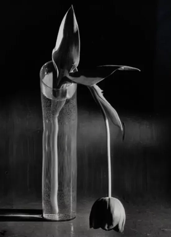 2025西岸艺博会在沪开幕，当代艺术市场上摄影作品不多-第6张图片-