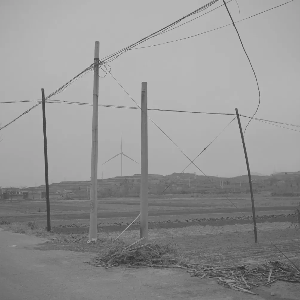 2025西岸艺博会在沪开幕，当代艺术市场上摄影作品不多-第7张图片-