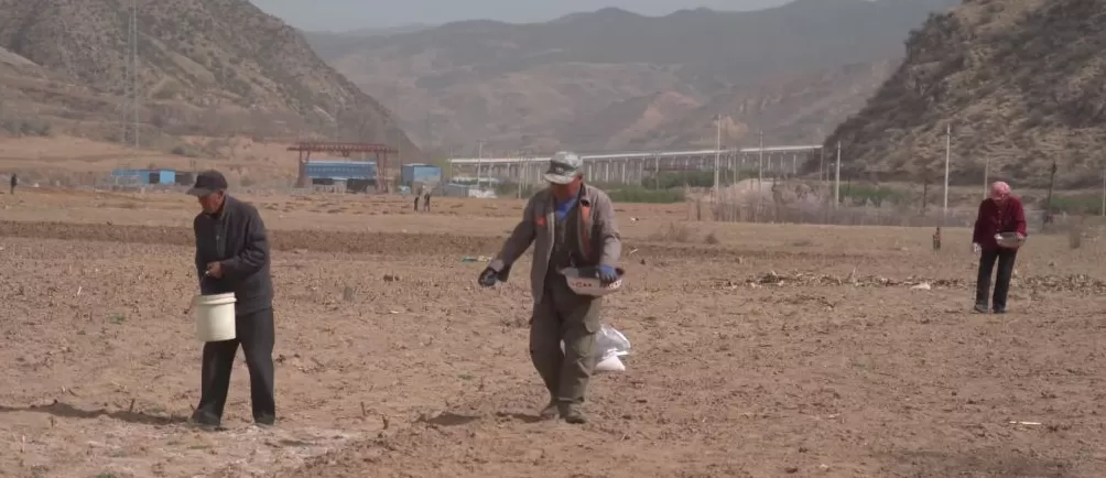 治愈网友的回村青年,治愈不了自己-第3张图片- 治愈网友的回村青年,治愈不了自己-第3张图片-