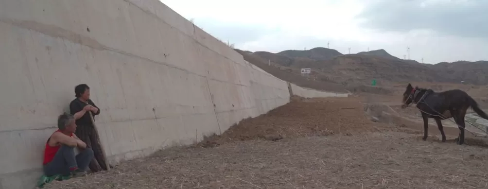 治愈网友的回村青年,治愈不了自己-第5张图片- 治愈网友的回村青年,治愈不了自己-第5张图片-