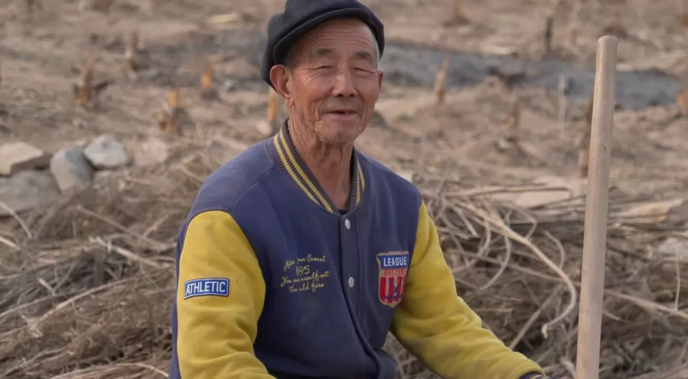 治愈网友的回村青年,治愈不了自己-第6张图片- 治愈网友的回村青年,治愈不了自己-第6张图片-