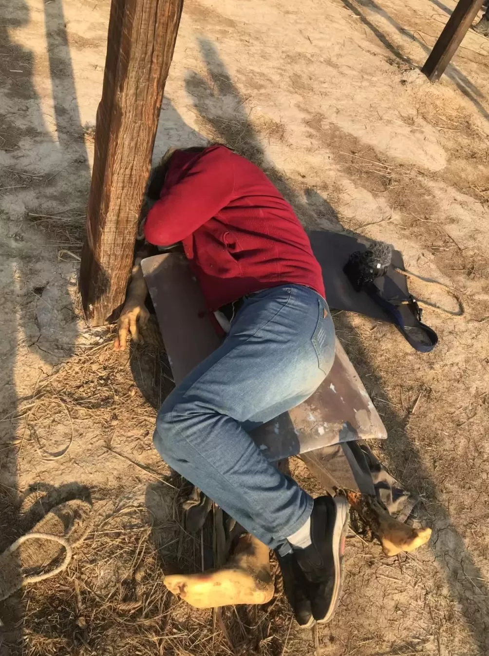 治愈网友的回村青年,治愈不了自己-第14张图片- 治愈网友的回村青年,治愈不了自己-第14张图片-