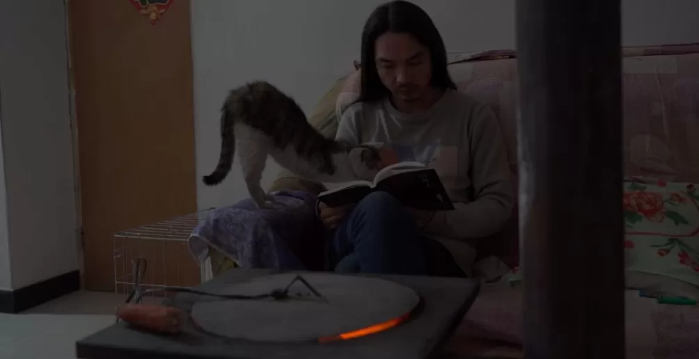 治愈网友的回村青年,治愈不了自己-第16张图片- 治愈网友的回村青年,治愈不了自己-第16张图片-