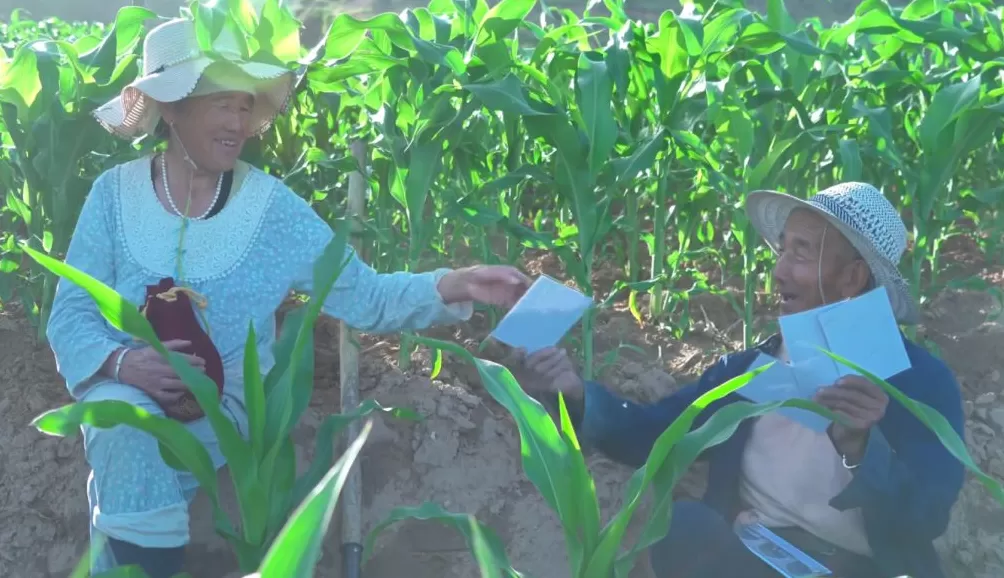 治愈网友的回村青年,治愈不了自己-第20张图片- 治愈网友的回村青年,治愈不了自己-第20张图片-