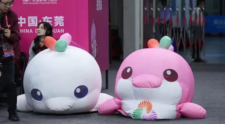 一夜爆火，“大湾鸡”做对了什么？-第1张图片-