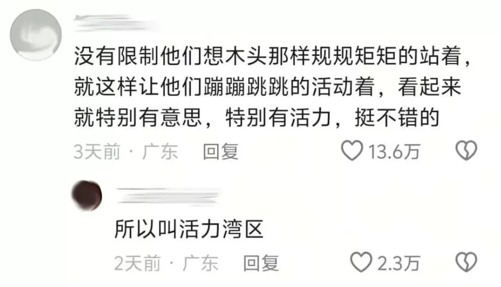 一夜爆火，“大湾鸡”做对了什么？-第6张图片-