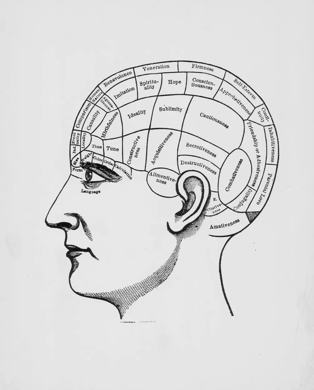 王旭读《脑》｜脑不是“创世神”，而是“关系器官”-第3张图片-