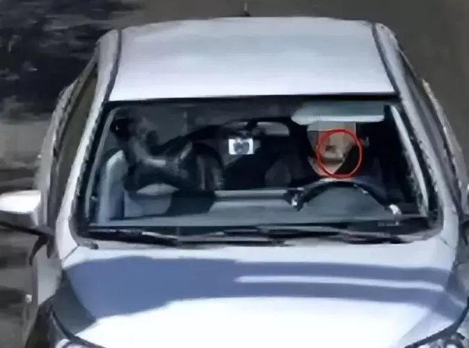 马上评｜纠偏开车叼牙线棒处罚，更要提高执法精度-第1张图片-