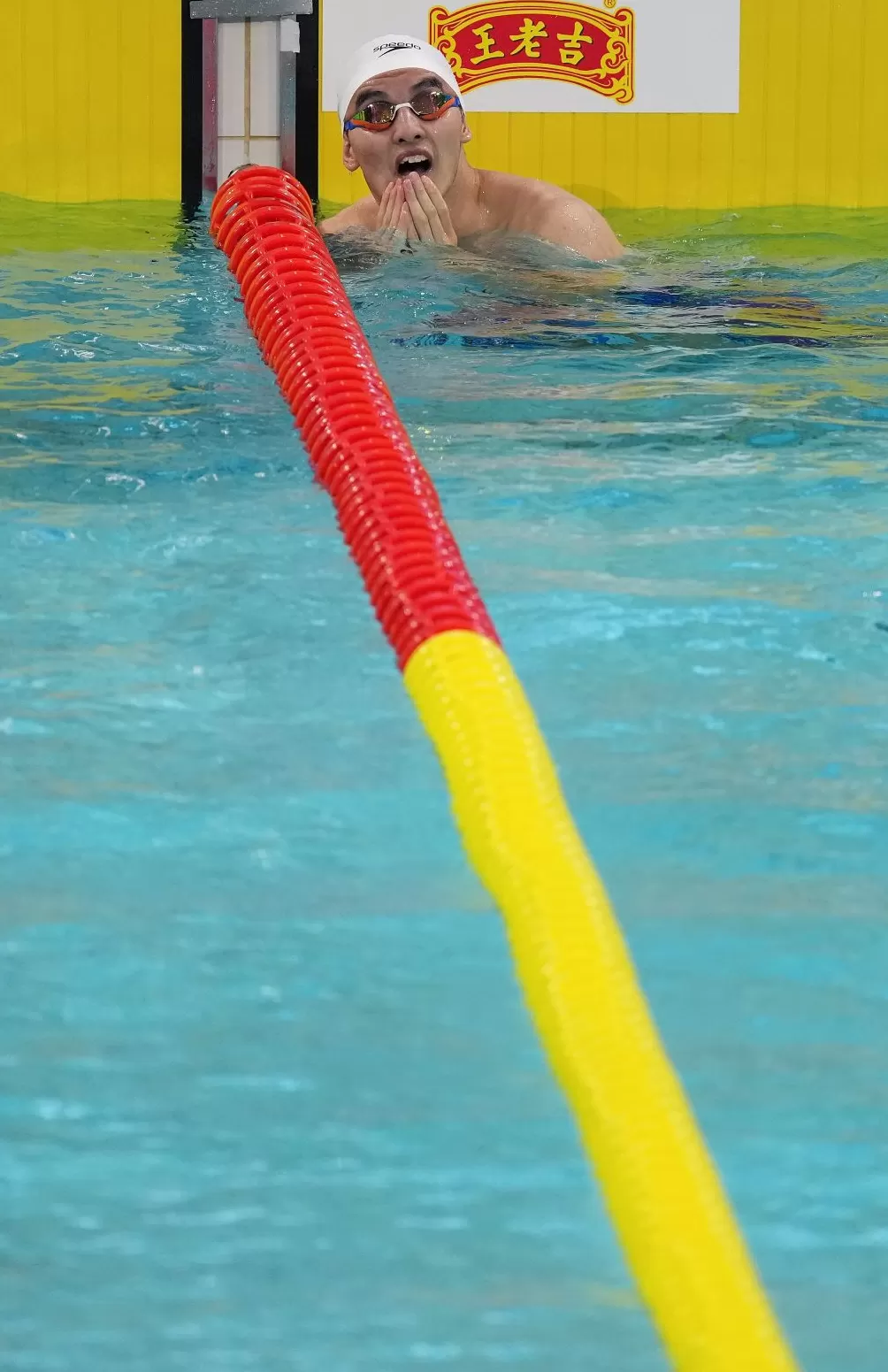 “天才少年”郑英昊,在全运会的泳池里破茧成蝶-第1张图片- “天才少年”郑英昊,在全运会的泳池里破茧成蝶-第1张图片-