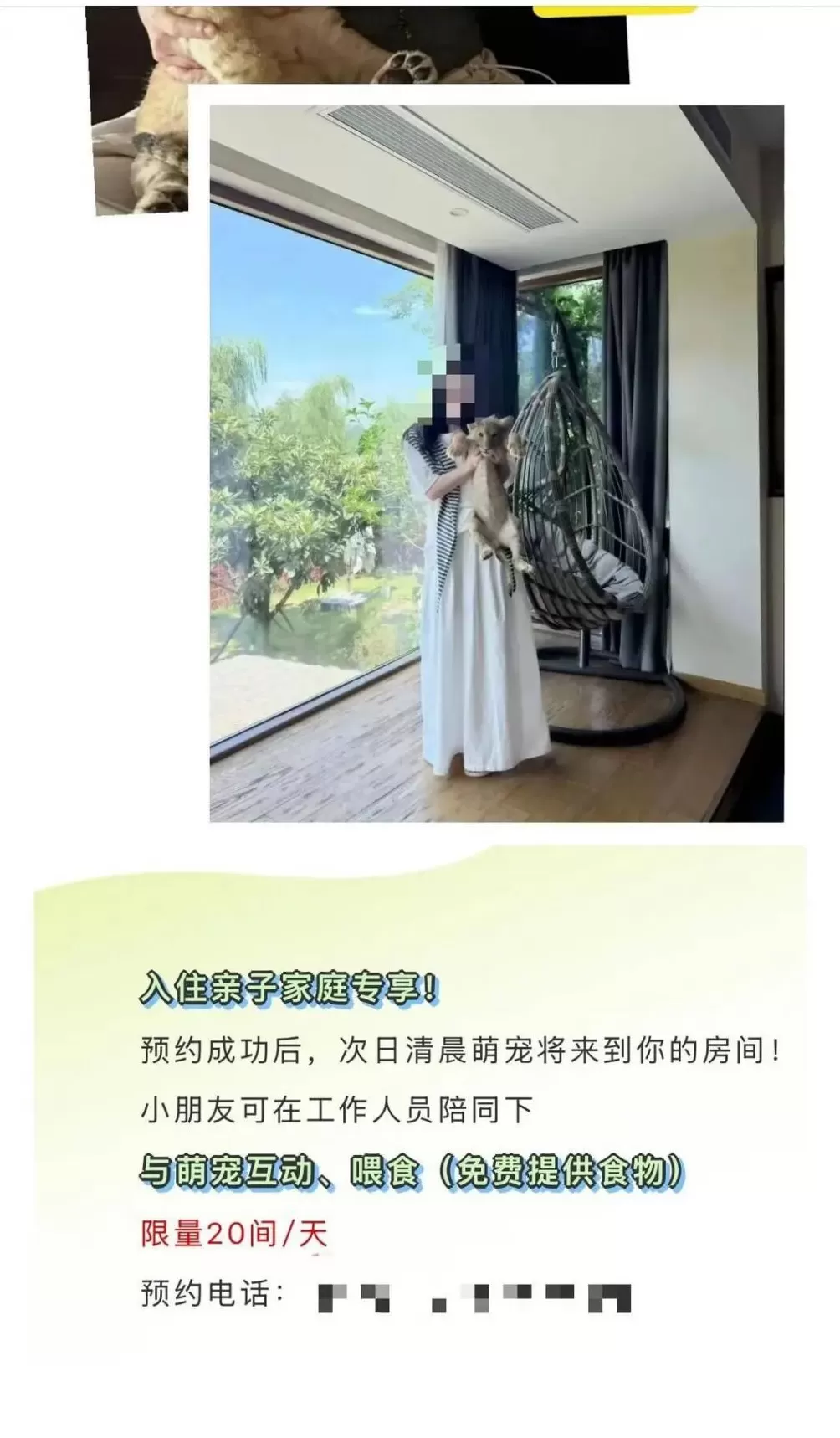 酒店推出“萌狮叫早”服务引热议,合法吗?-第1张图片- 酒店推出“萌狮叫早”服务引热议,合法吗?-第1张图片-