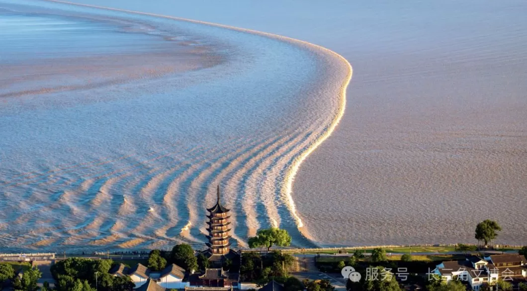 长三角文博会|全球首个“古镇+”跨界融合展示平台构建-第10张图片- 长三角文博会|全球首个“古镇+”跨界融合展示平台构建-第10张图片-