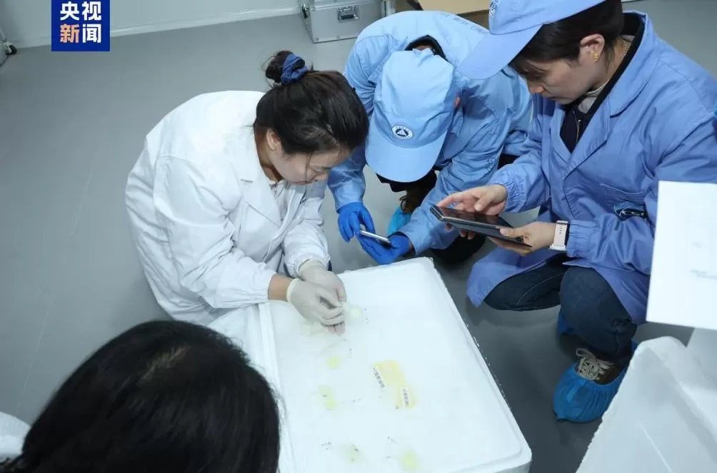 中国空间站第九批实验样品返回并交付科学家-第1张图片-