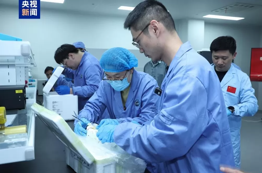 中国空间站第九批实验样品返回并交付科学家-第3张图片-