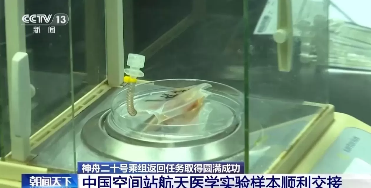 神二十乘组昨夜抵京：已入住航天员公寓，进入隔离恢复期-第3张图片-