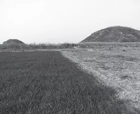 从“代人”到“河南人”：孝文帝迁都洛阳后的改革-第1张图片-