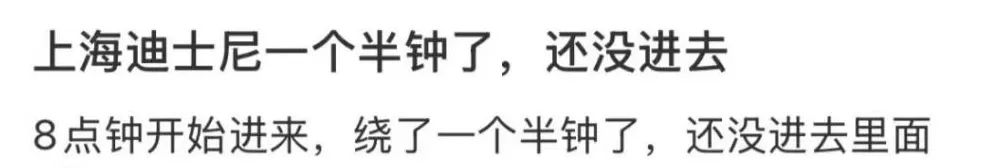 迪士尼排队2小时还没进门，网友吐槽：有“一亿人”，挤爆了-第4张图片-