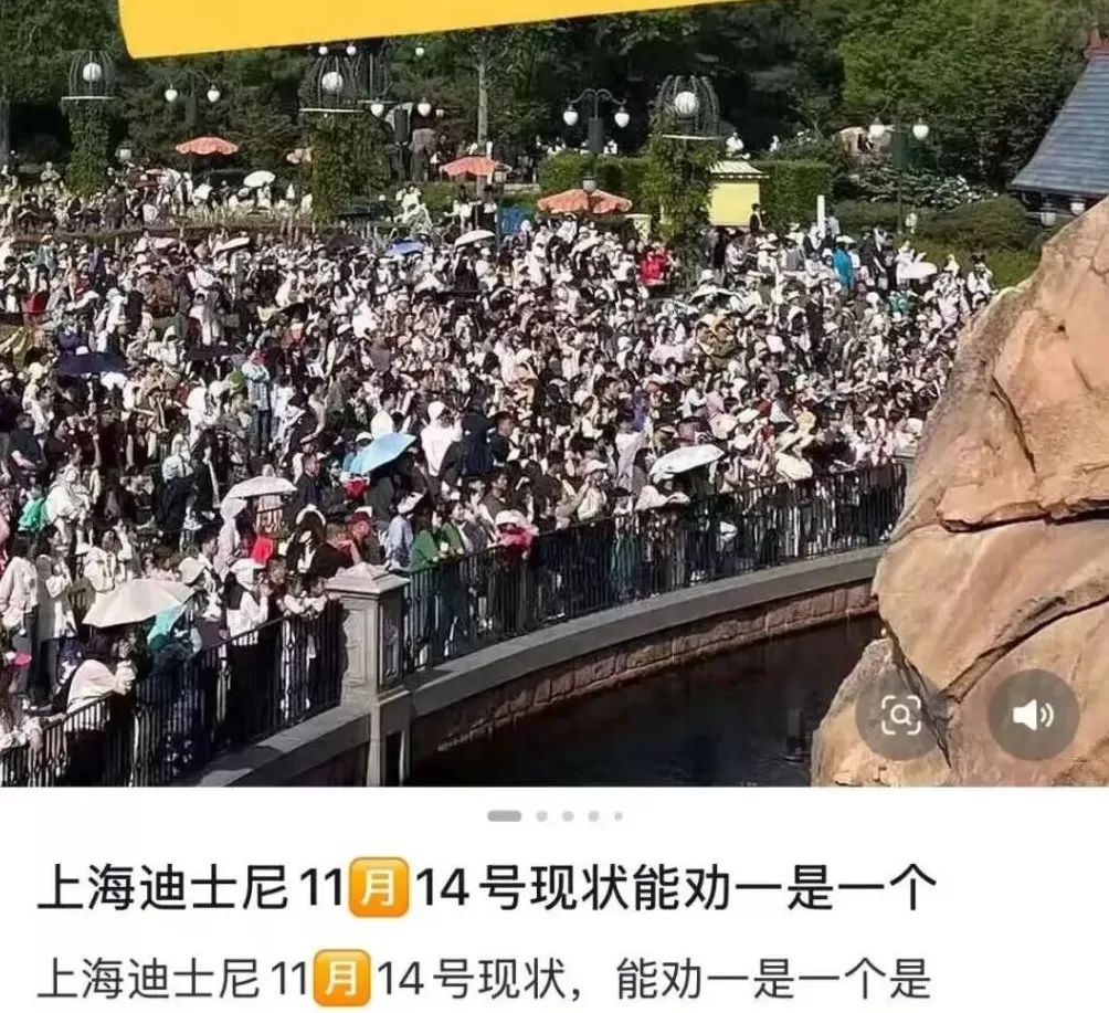 迪士尼排队2小时还没进门，网友吐槽：有“一亿人”，挤爆了-第3张图片-