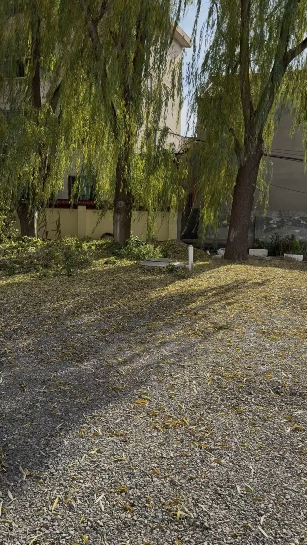 山西“狗咬人被摔死”命案调查：纠纷如何升级，“反杀”是否防卫过度？-第2张图片-