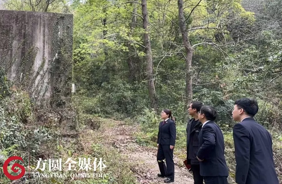 景区247家民宿和酒店，105家没有用水记录，数据异常背后隐藏着哪些秘密？-第9张图片-