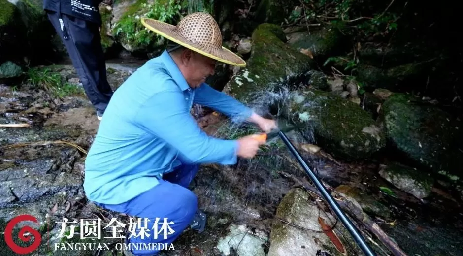 景区247家民宿和酒店，105家没有用水记录，数据异常背后隐藏着哪些秘密？-第8张图片-